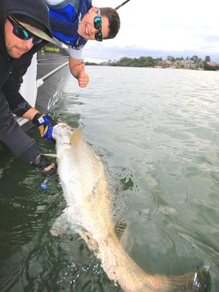 Al McGlashan reveals why he released a big jewfish tamed on bream ...