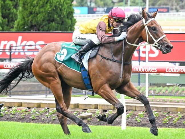 Field Of Play ridden by Blake Shinn wins the Drummond Golf Handicap at Moonee Valley Racecourse on December 28, 2024 in Moonee Ponds, Australia. (Photo by Reg Ryan/Racing Photos via Getty Images)