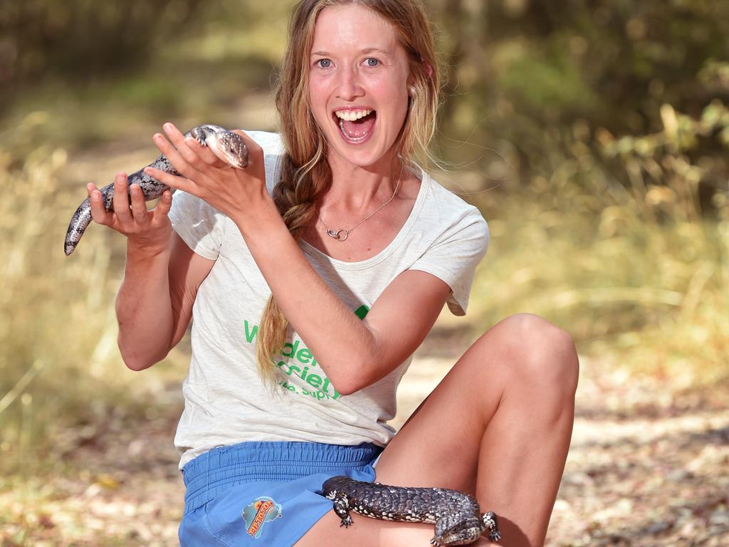 With Bob the Blotched Blue-tongued lizard and Gumnut the Stumpy tail lizard. Picture: Nicki Connolly