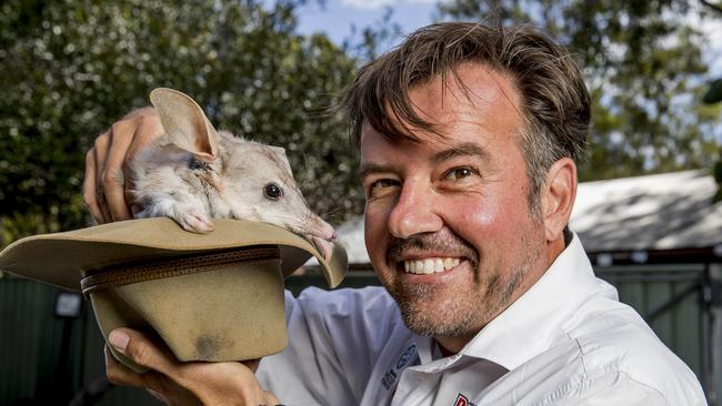 Al Mucci, General Manager of Dreamworld's Life Sciences Division and Chair of the Save the Bilby Fund holding 5-year-old Sophie the Bilby. Picture: Jerad Williams