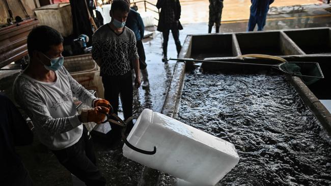 A wet market in Wuhan in China, where COVID-19 began. Picture: Hector Retamal/AFP