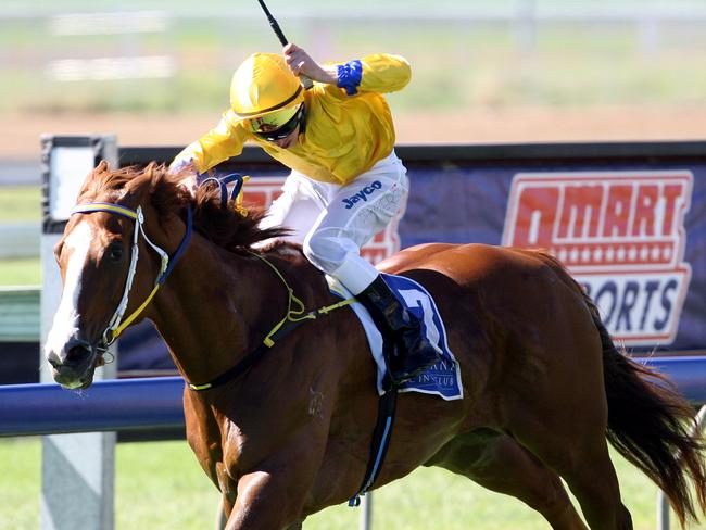 Racehorse names inspired by AFL players | Herald Sun