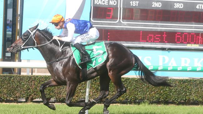 GC Turf Club.Winner of race 3, number 5, ROTHENBURG. Jockey is Luke Dittman, trainer is Matthew James Dunn.Photo by Richard Gosling