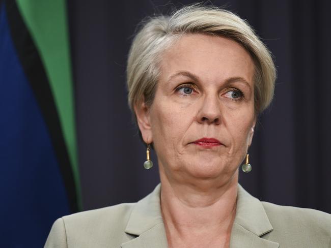 CANBERRA, Australia - NewsWire Photos - October 14, 2024: Tanya Plibersek holds a press conference at Parliament House in Canberra. Picture: NewsWire / Martin Ollman