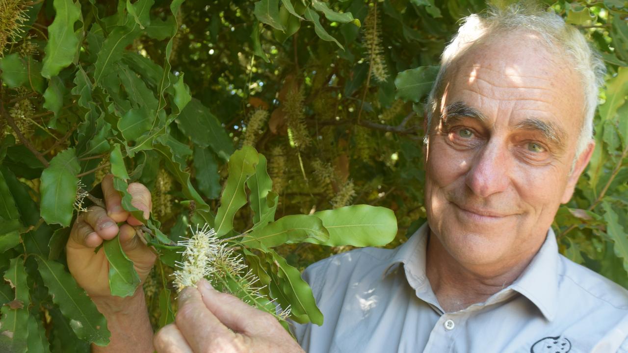 Australian Macadamia Society CEO Jolyon Burnett on a tour of an Oakenden macadamia orchard. Photo: Zizi Averill