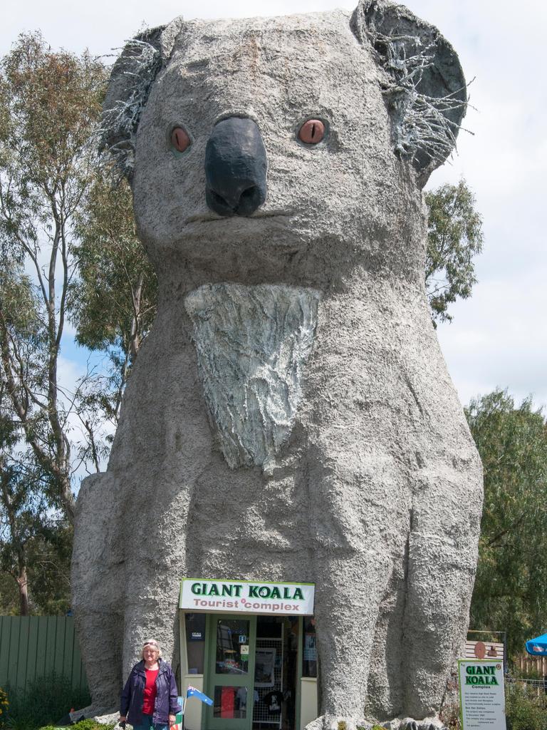 In 2009, the Giant Koala at Dadswells Bridge was named Sam, after a koala who was photographed drinking water from a firefighter’s bottle during the Victorian Black Saturday bushfires.