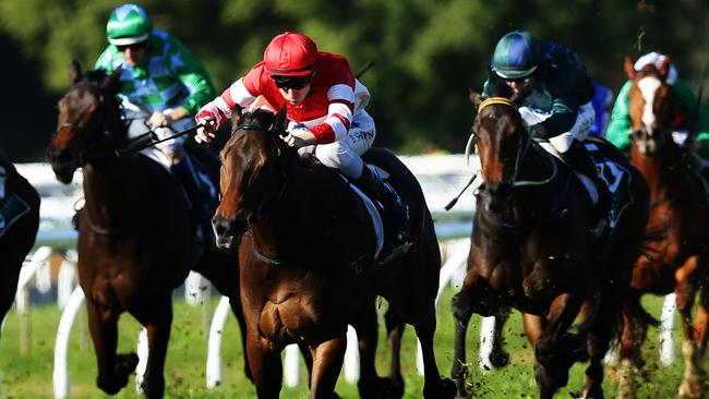 Jockey Blake Shinn rides Kimberley Star (red) to victory in Race 3 at Warwick Farm, Sydney. Pic Brett Costello