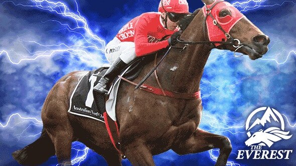 The winner of the 2018 The Everest: Redzel.