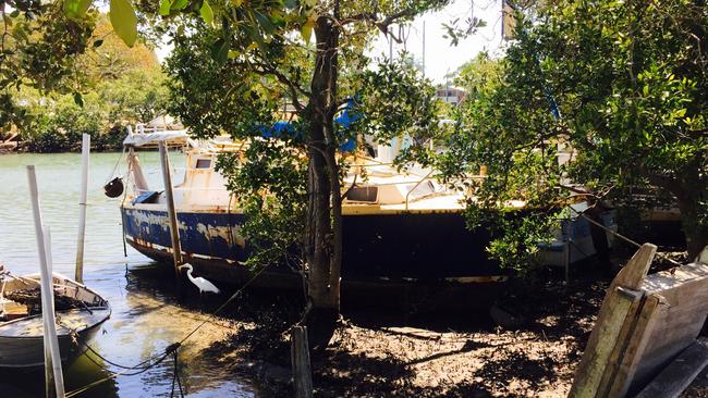 Some other areas of Wynnum Creek which have been cleaned up through the War on Wrecks.