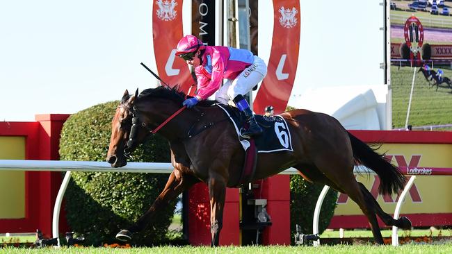 Philia stamps her Group 1 Queensland Oaks credentials by winning The Roses at Doomben for Queensland trainer David Vandyke and jockey Kerrin McEvoy. Picture: Grant Peters / Trackside Photography