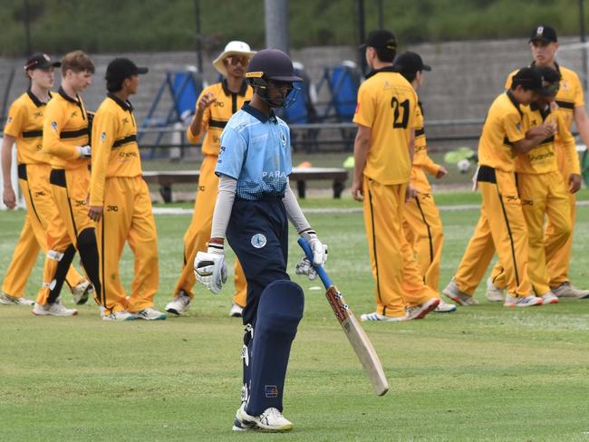 UNSW players celebrate following the dismissal of Ronav Aparajit for 18. Picture: Sean Teuma