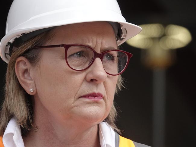 MELBOURNE, AUSTRALIA - NewsWire Photos - 09 FEBRUARY, 2025:  Victorian Premier Jacinta Allan and Minister for TransportInfrastructure to make an announcement at Arden train station the morning after the state by elections.  Picture: NewsWire / Valeriu Campan