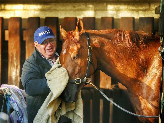 Trainer Paul Beshara with veteran galloper Happy Trails. Picture: Colleen Petch