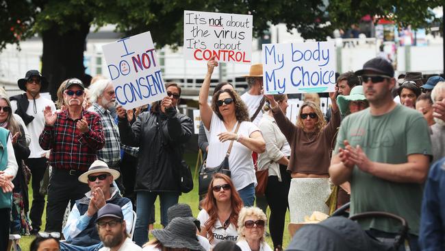 The Reclaim the Line rally at Parliament Lawns. Picture: Nikki Davis-Jones