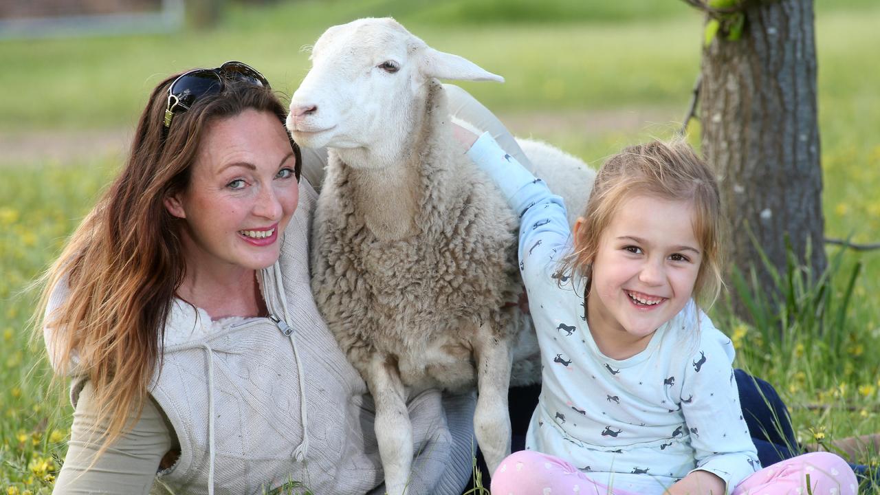 Country Girl Co: Freshwater Creek animal carer launches farm animal adoption  program | Geelong Advertiser