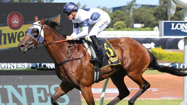 Canasta looks well placed to breakthrough at Randwick. Picture: Grant Guy