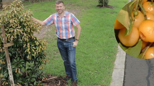 Fraser Island apple fruit trees have been planted along the Mary to Bay Rail Trail in Hervey Bay.