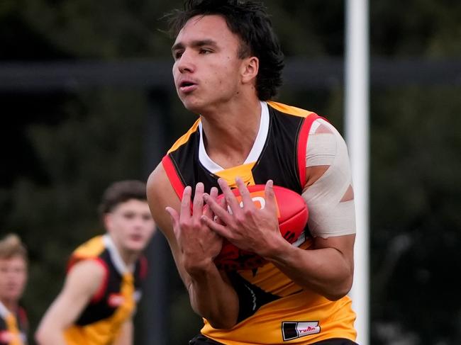 Dandenong Stingrays face Murray Bushrangers on Saturday.