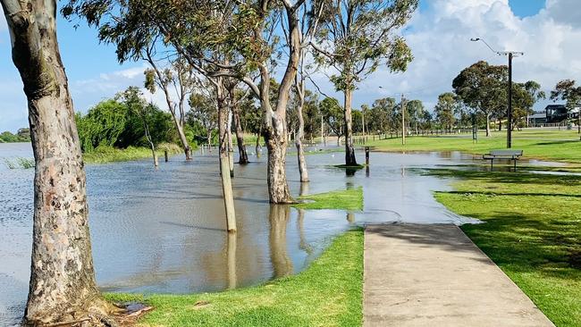 Flood water at Sturt Reserve in Murray Bridge on Tuesday, November 1. Photo: Facebook.