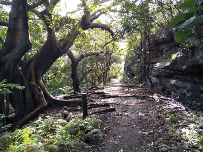 Part of the boardwalk in Gap Park.