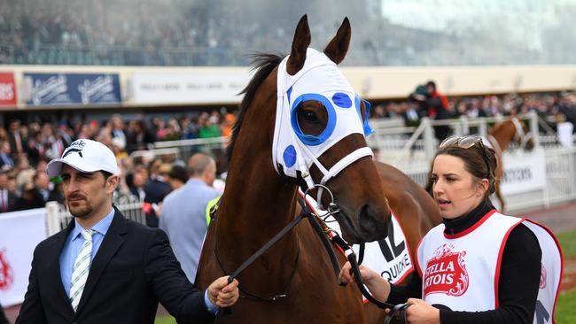 Mr Quickie is seen before race 9, the Stella Artois Caulfield Cup, during the Stella Artois Caulfield Cup Day at Caulfield Racecourse in Melbourne, Saturday, October 19, 2019. (AAP Image/Vince Caligiuri) NO ARCHIVING, EDITORIAL USE ONLY