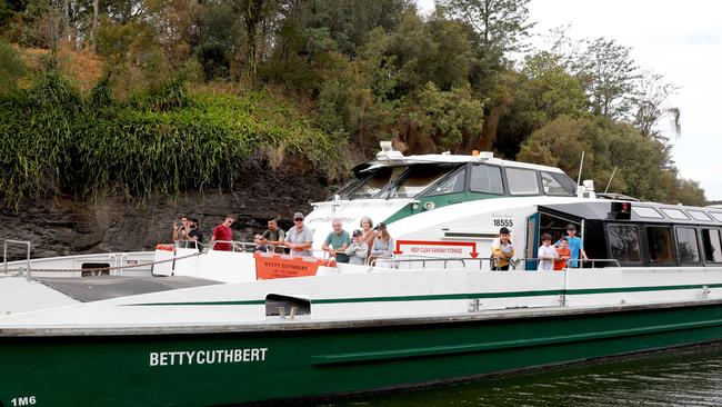 The Rivercat makes its way up the Parramatta River. Picture: Angelo Velardo