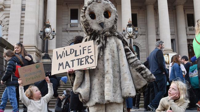 MELBOURNE, AUSTRALIA - NewsWire Photos, AUGUST 12, 2023. Rally on Victorian Parliament steps in Melbourne to call for an end to native forest logging nationwide. Picture: NCA NewsWire / Josie Hayden