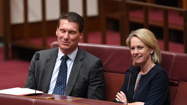 Deputy Nationals Leader Fiona Nash has told the Senate she is a British citizen. (Pic: AAP)