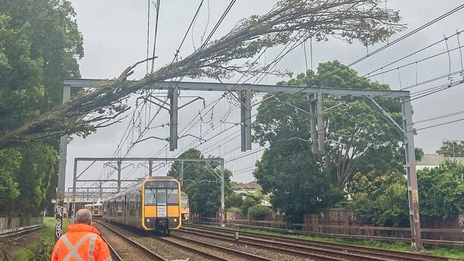 Wild weather brought down a tree at St Peters, so there are delays on the T4. Sydney Trains staff worked hard to clear the tree and reroute trains. Picture: Facebook / Jo Halen