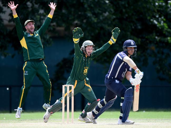 Northcote’s Josh Sundberg and captain Blayde Baker appeal for a wicket. Picture: Andy Brownbill