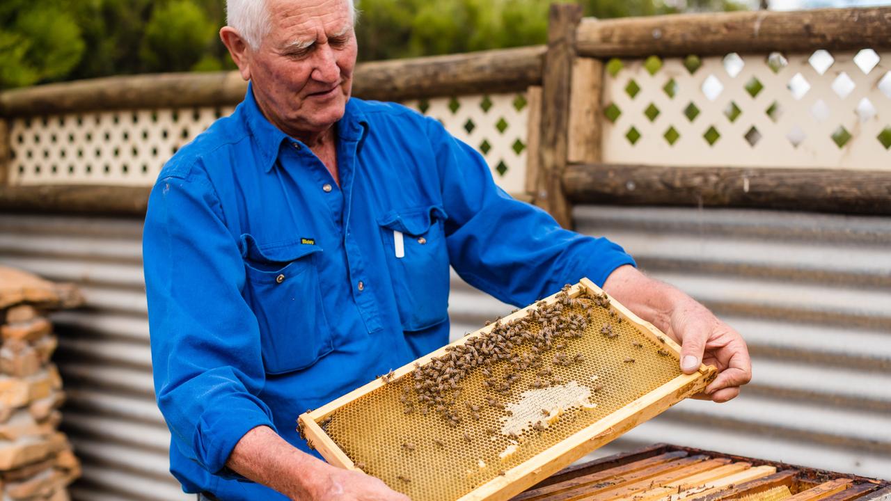 Island Beehive on Kangaroo Island. Picture: Meaghan Coles