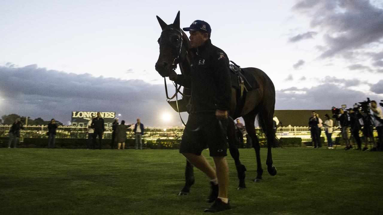 Winx doing dawn track work at Rose Hill. Picture: Dylan Robinson