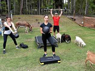 MAKING MOO-VES: Tanawha Farm Fit allows clients to exercise oustside alongside farm animals.Brittany-Jean Jones, Ella Tunbridge and Blake Jones working out on the farm. Picture: Warren Lynam