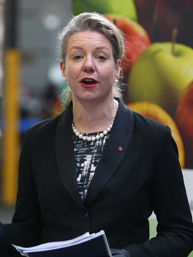 Nationals senator Bridget McKenzie outlined ways to explore population growth in regional areas.