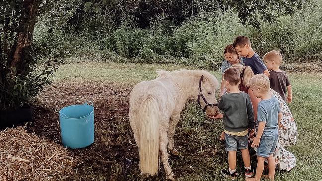 Tiny Sunny – a miniature pony – was mauled to death by dogs. Picture: Supplied.