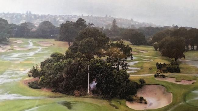 The Sydney Royal Golf Club plans to remove almost 600 trees.