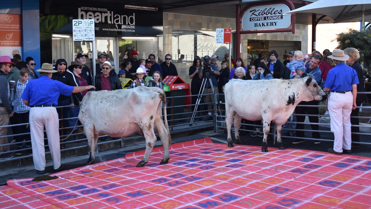 Cow pat lotto at Beef Week 2019.