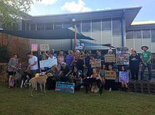 Animal activists gathered in front of Lismore City Council chambers advocating for a council move for additional greyhound races be reversed. Picture: Claudia Jambor