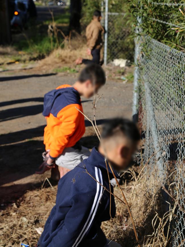 Detectives have charged four men and seized cannabis with a street value of nearly $13 million as part of an ongoing investigation into cannabis cultivation and money laundering., , In July 2019, the State Crime Command’s Organised Crime Squad and the NSW Crime Commission established Strike Force Riche to investigate a criminal syndicate involved in cannabis cultivation and money laundering., , Picture: NSW Police