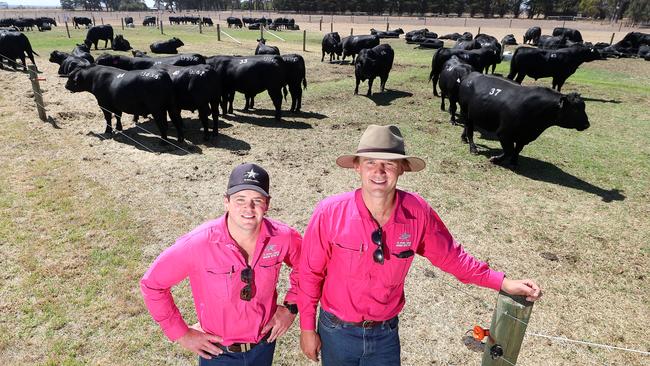 Te Mania Angus bull sale, Hexham, Sam Reid & Edward Gubbins, Te Mania,  Picture Yuri Kouzmin