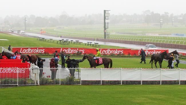 Owners will return to the track to watch their horses race at Sandown on Wednesday. Picture: Ron Wells