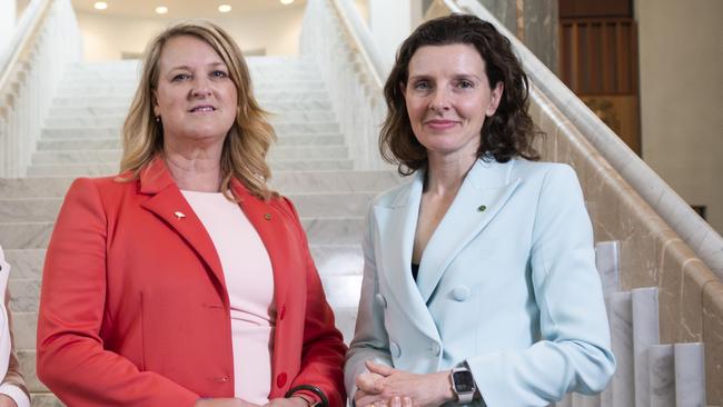 Kylea Tink and Allegra Spender at Parliament House Canberra. Pictures: Martin Ollman