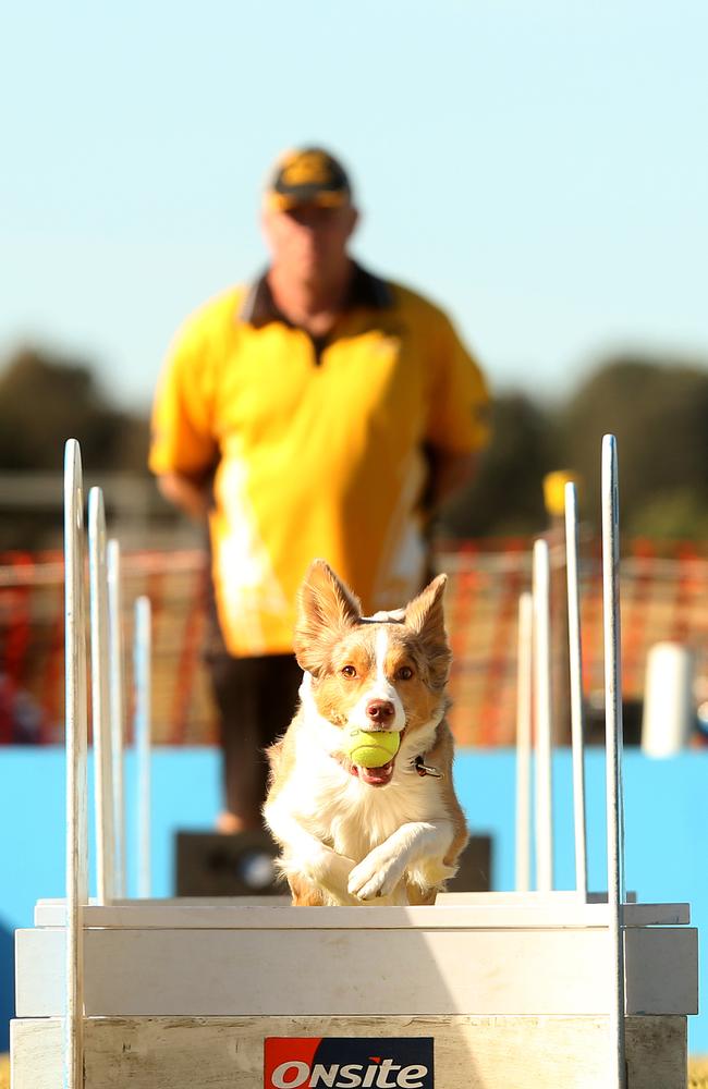 Onsite activities at Sydney International Regatta Centre