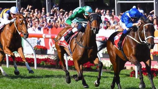 Blake Shinn, aboard Humidor, threw down the challenge to Winx in the Cox Plate. Picture: Getty