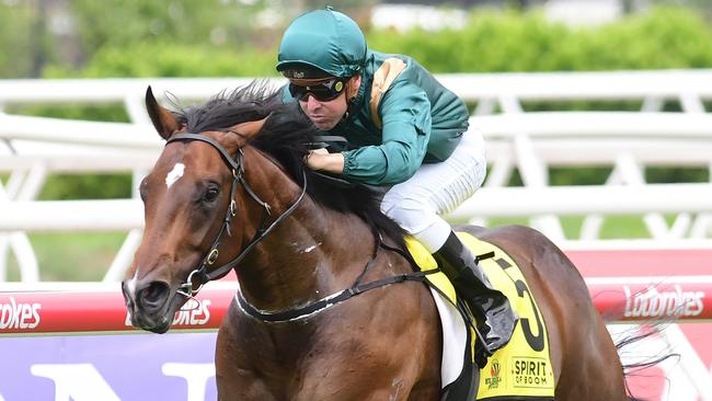 Godfather in his former racing colours when winning on debut for the Snowdens in 2022. Picture: Natasha Wood/Trackside Photography