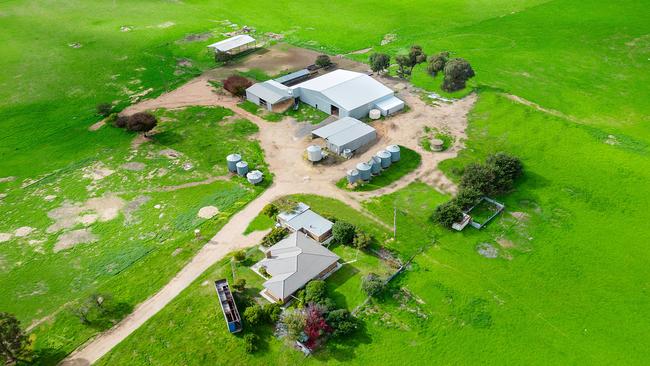 The Ford family have predominantly run a Merino operation on their Baringhup aggregation.