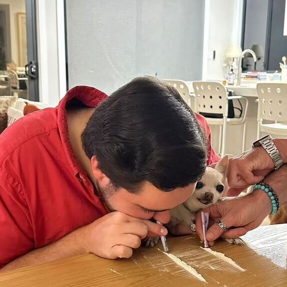 This astonishing photo emerged from inside the house, with Mr Lehrmann appearing to snort a white substance off the dinner table. Mr Lehrmann revealed the image was taken as a joke and actually clearly shows him pretending to snort plain flour.