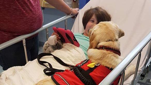 Logan Reese with his assistance dog Hunter at the Women’s and Children's Hospital. Picture: Supplied