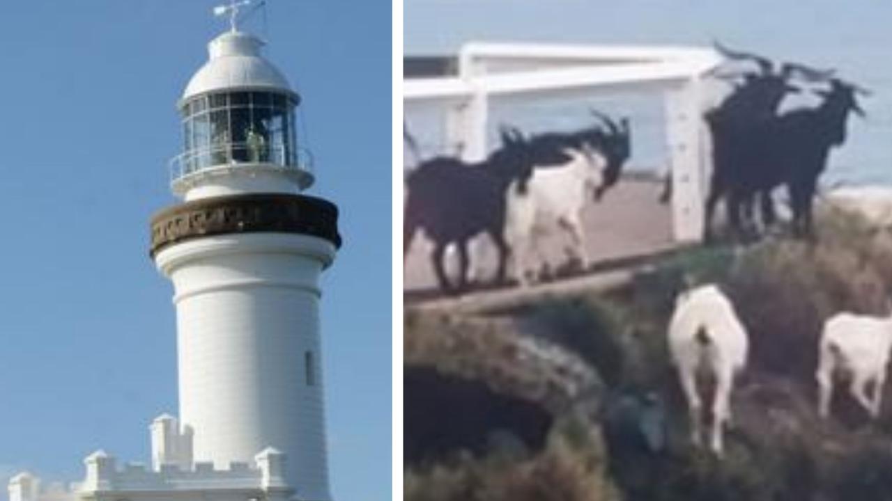 Cape Byron Lighthouse named Heritage Lighthouse of the Year Daily