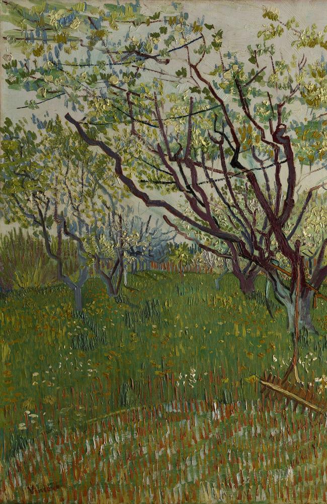 Vincent van Gogh The Flowering Orchard 1888 Oil on canvas as part of the Met show at QAGOMA.